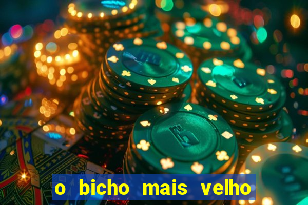 o bicho mais velho da loteria dos sonhos